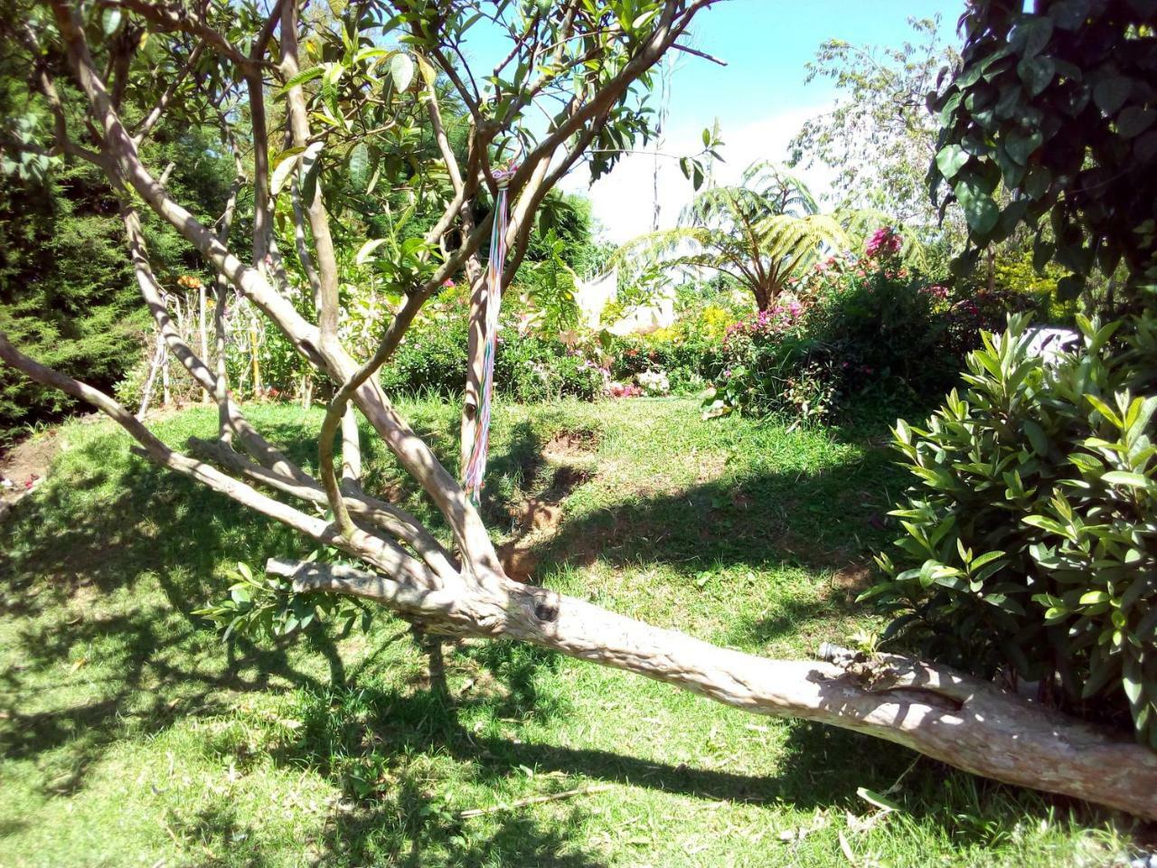 Fairy Hostel Nuwara Eliya Bagian luar foto